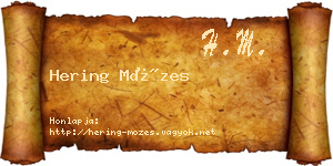 Hering Mózes névjegykártya